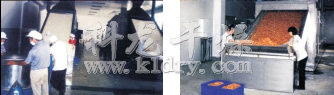 DW多层带式干燥机