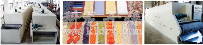 DW单层带式干燥机