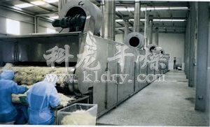 DWC系列脱水蔬菜带式干燥机