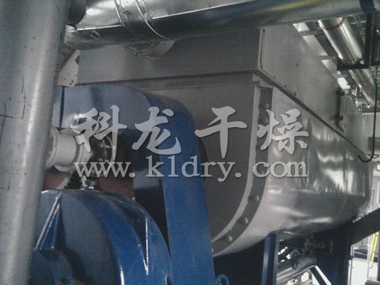 可可豆专用空心桨叶干燥机